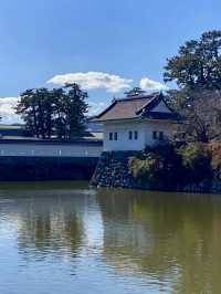 A Gentle Walk Through Odawara – Castles, Coastlines & Sunset Calm