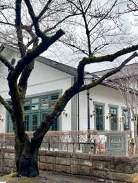 A Peaceful Stroll Through Aizuwakamatsu – Castles & Cake Breaks