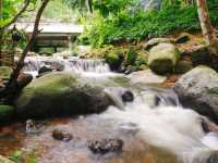คาเฟ่เล็กกลางหุบเขา เชียงใหม่