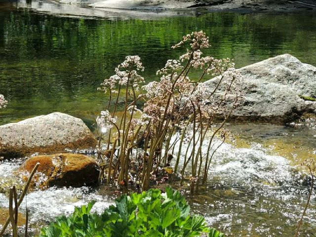 Faith on the Frontier: Walk the Mormon Trail