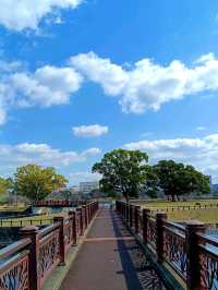 熊本著名觀光勝地 <水前寺江津湖公園>