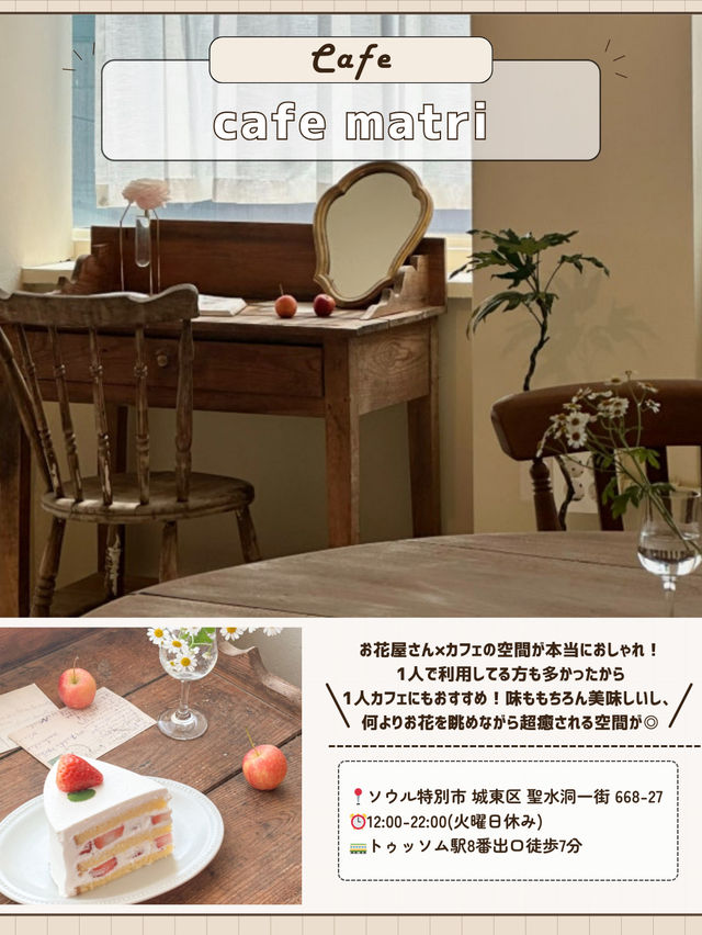 🇰🇷🌳ソウルの森で1日！穴場巡り編✨