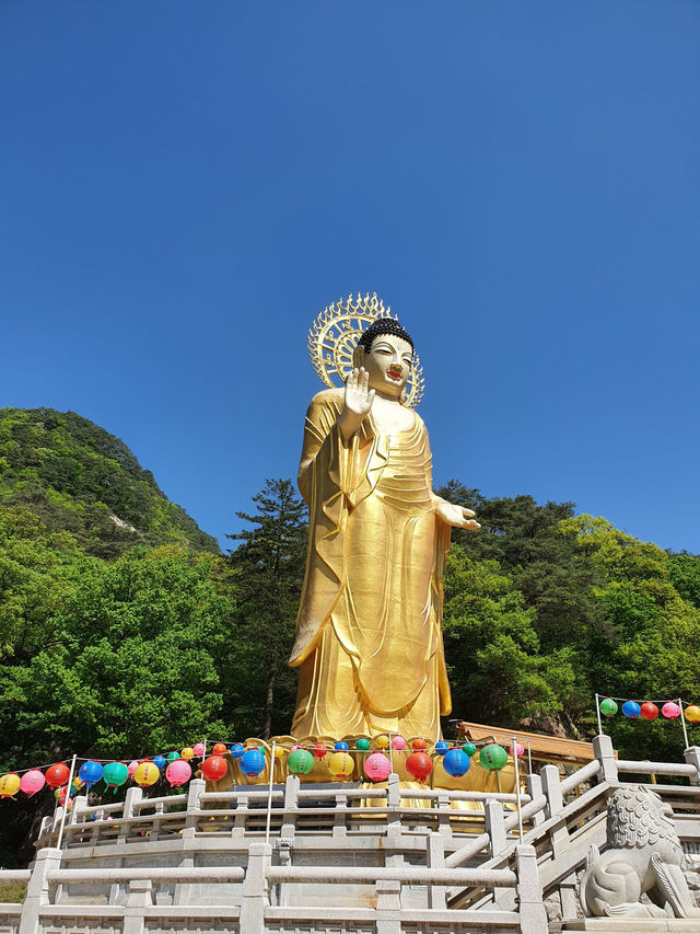 📍 보은 법주사 고즈넉한 사찰 여행기 
