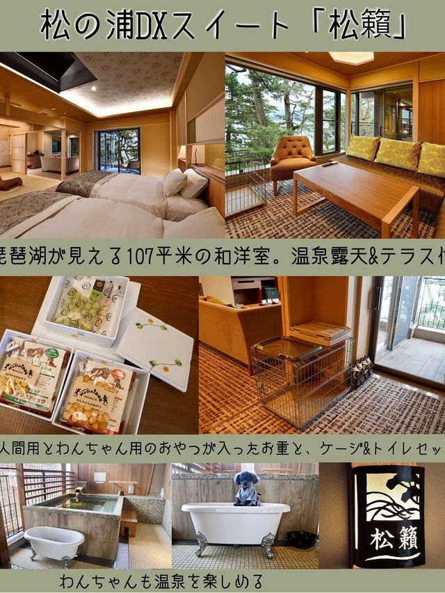 予約困難❕ペットと泊まれる人気の温泉宿🐕‍🦺