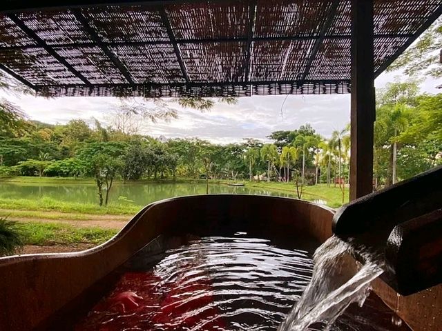 ภูกาษาวาเล่ย์ แม่สอด ทั้งที่พัก คาเฟ่ และออนเซ็น 