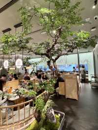 《綠茶餐廳來到奧運啦》