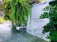 Coco & Coff ร้านกาแฟในสวนมะพร้าวและสน