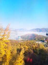 정선하이원가을하늘길트레킹여행🍁🍂
