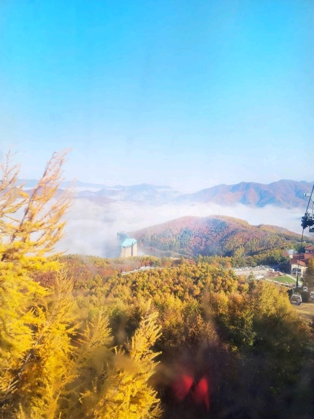 정선하이원가을하늘길트레킹여행🍁🍂