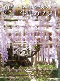 【行く前にこれ見て】樹齢1200年の藤が織りなす神秘的な世界💜✨※観光攻略情報付き