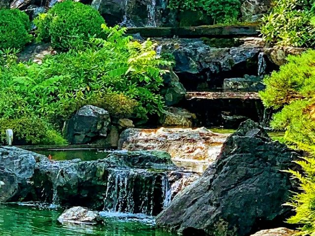 Montreal Botanical Garden – A Living Masterpiece in the Heart of the City