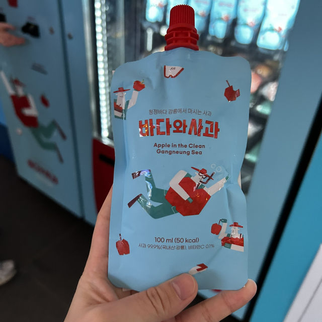 韓国🇰🇷 GWの江陵(カンヌン)日帰り旅行✨スケジュールと費用まとめ！