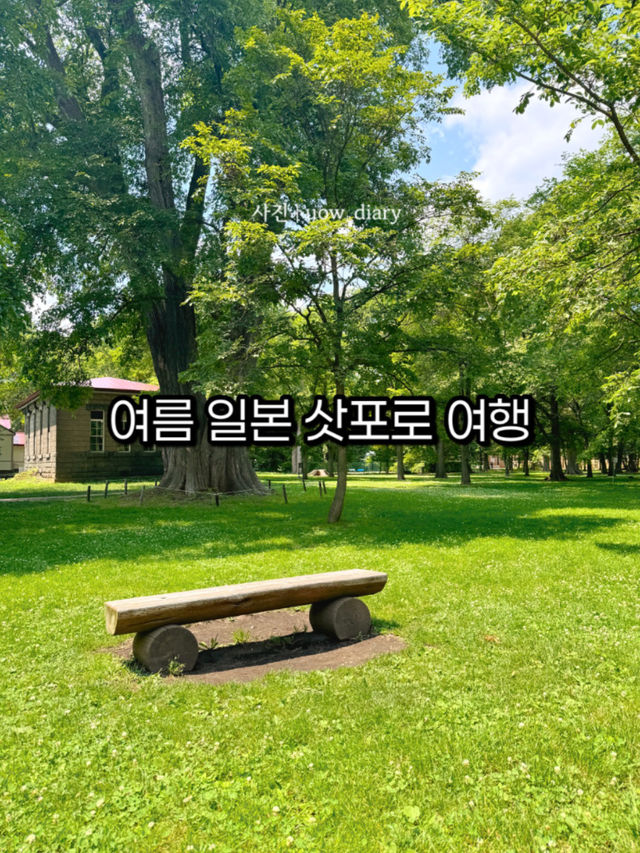  🇯🇵 여름 삿포로 여행에서 만난 힐링 스팟 🌿