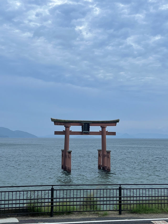 🚐輕鬆包車遊關西｜彥根城×琵琶湖×白鬚神社一日輕旅行