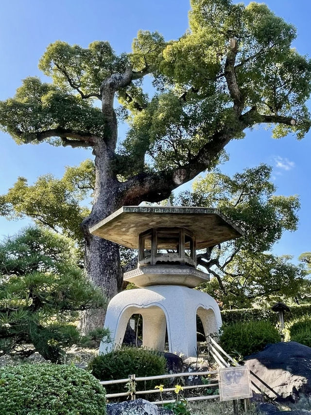 A Slow Day at Sorakuen Garden🌴