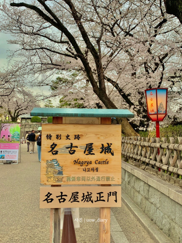매력적인 나고야의 봄여행🌸🌼🌱