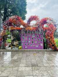 🌸 A Bloom-Filled Getaway to China’s Eternal Spring City🌸