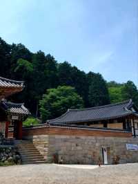 여름산책에 제격인 힐링 사찰, 옥천사
