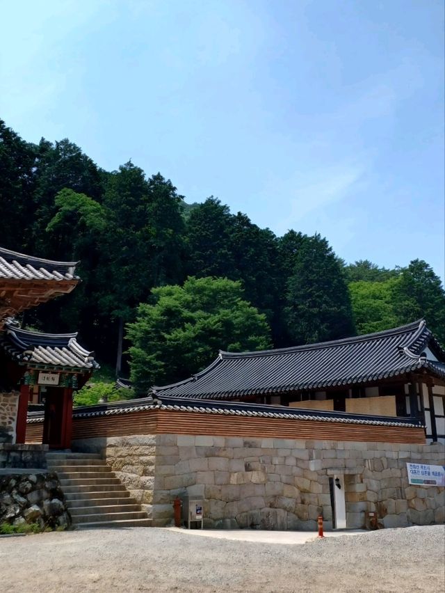 여름산책에 제격인 힐링 사찰, 옥천사