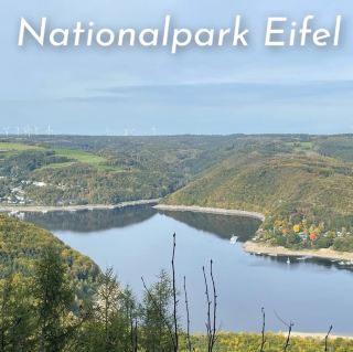 Eifel National Park Hike 🌲🚶‍♀️
