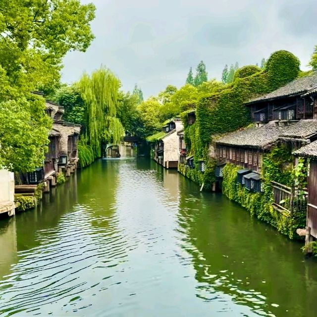 Perfect Day in Wuzhen Water Town