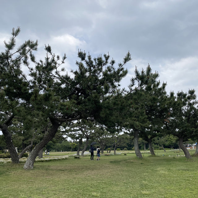 Flower Hill - Uminokamichi Seaside Park 
