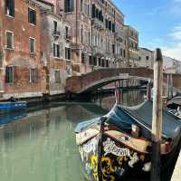 🌊 “Whispers on Water: A Morning in Venice”