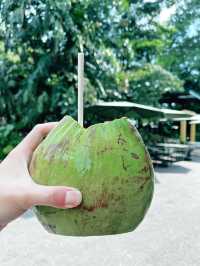 Summer Hiking Escape at Taman Tugu Forest Trail