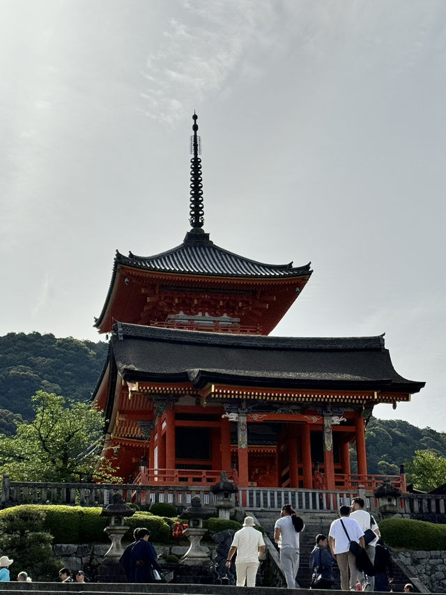 世界遺產‧清水寺（二年坂～三年坂)