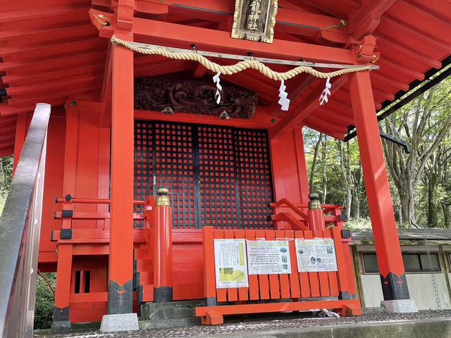 神聖なエネルギーに包まれる、箱根神社＆九頭龍神社へ