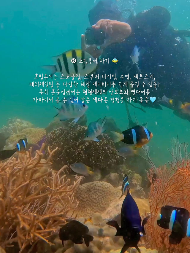(저장💌) 나트랑 여행, 이것만은 꼭 하고오세요 🇻🇳