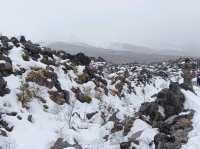 3月日本自由行 景点篇 鬼押出火山岩石公園
