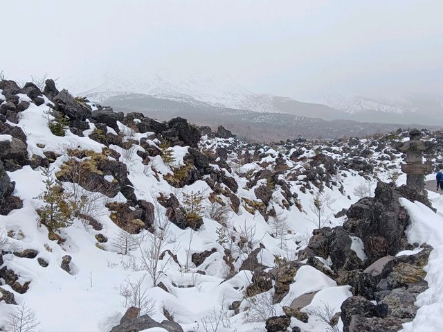 3月日本自由行 景点篇 鬼押出火山岩石公園