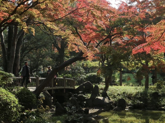 🍁 東京的秋天，把金黃鋪滿了整條街道。