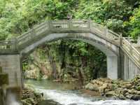 廣州石門森林公園，自駕遊必去！🌳🚗