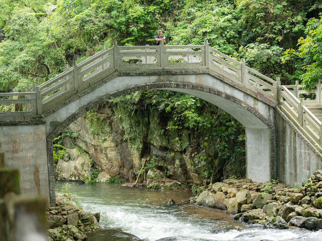 廣州石門森林公園，自駕遊必去！🌳🚗