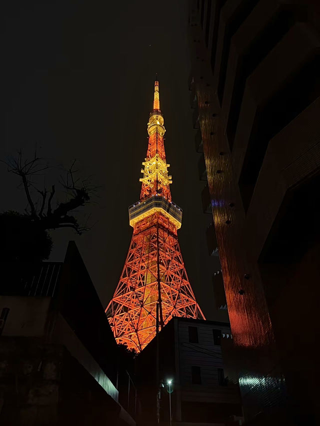 โอซาก้า🇯🇵