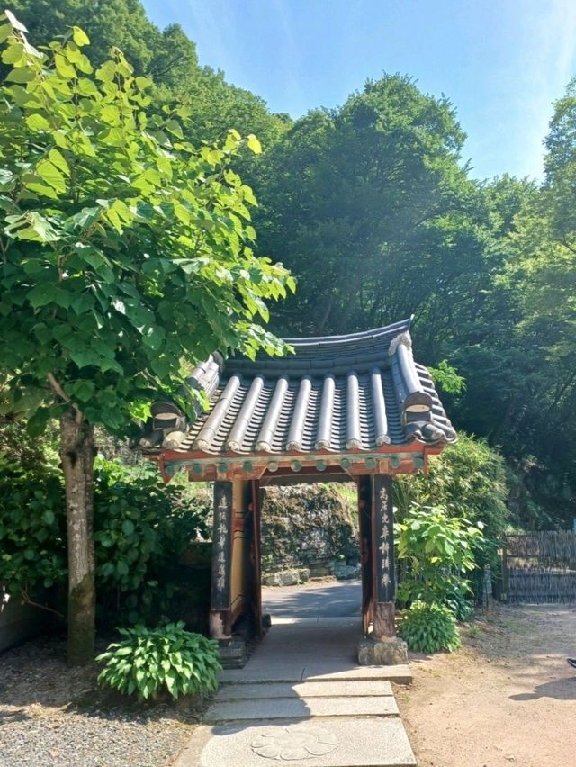 숲속 고요를 만나는 힐링 산책
