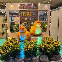 พามาชมงาน Westville Bird Paradise 