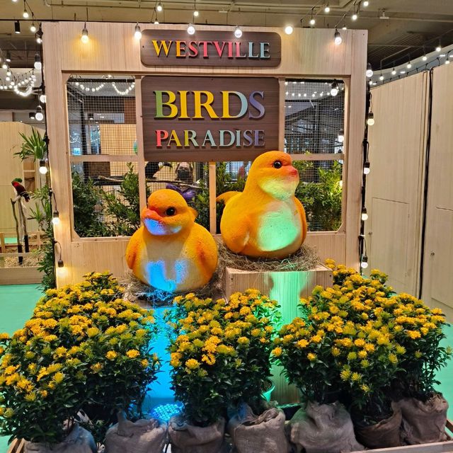 พามาชมงาน Westville Bird Paradise 