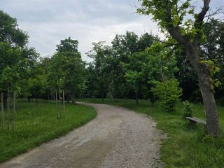 A great place for running during overseas travel: Steinhofgründe in Vienna