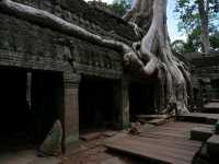 Tomb Raider Temple