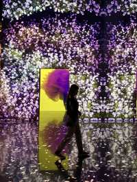 韓國🇰🇷 - ARTE MUSEUM Busan