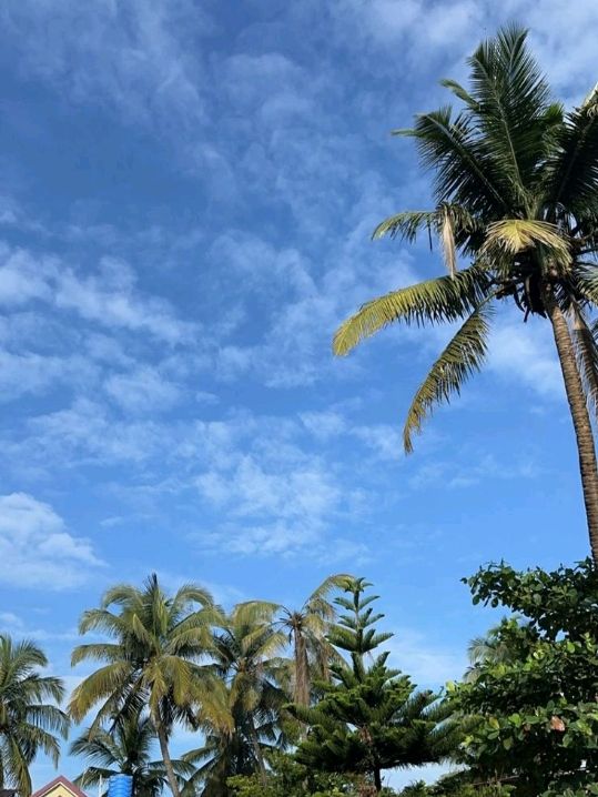Goa