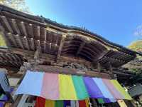 Healing Stones & Flea Market Vibes: Discover Kawagoe’s Renkeiji Temple