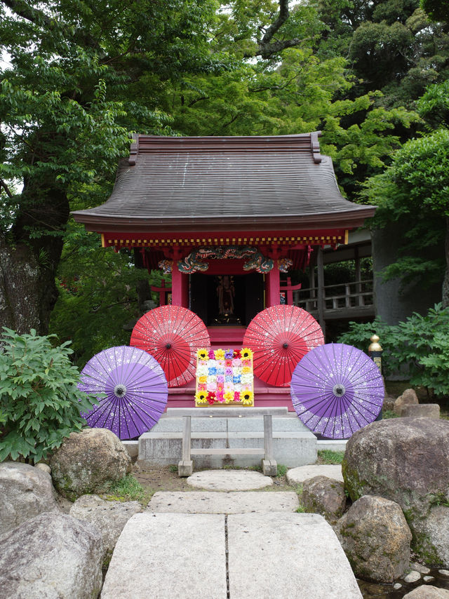 🙏【茨城・桜川市 雨引観音（雨引山楽法寺）】紫陽花に包まれるパワースポットで癒しとご利益の旅 