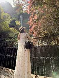 3D2N Quick Zhangjiajje + Furong Tour