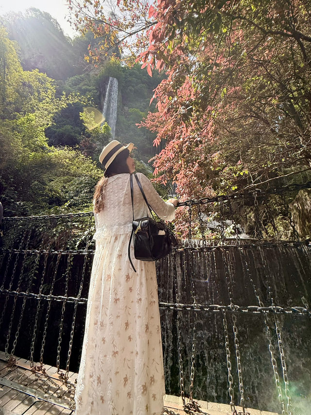 3D2N Quick Zhangjiajje + Furong Tour