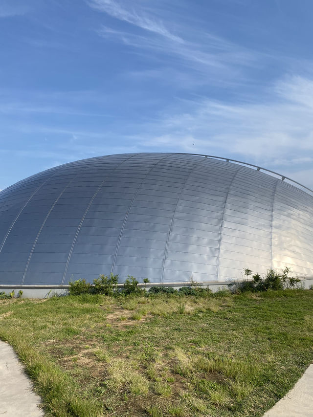 【福井🇯🇵】県立恐竜博物館へ🦖🦕