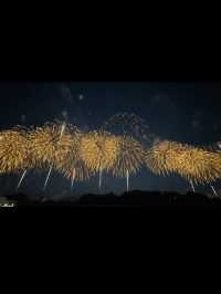 祈りと希望が夜空に咲く。長岡花火大会で心震える夏の記憶🎆